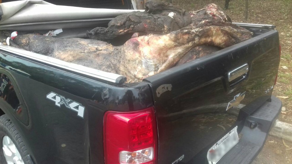 Carga foi apreendida no posto da PRF (Foto: PRF/Divulgação)