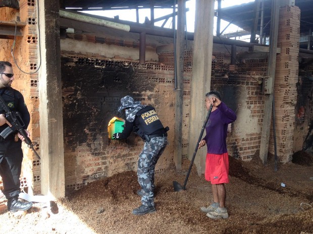 G Mais De Quilos De Drogas S O Incinerados Pela Pf Em Macap