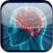 Teste Brain Ag
