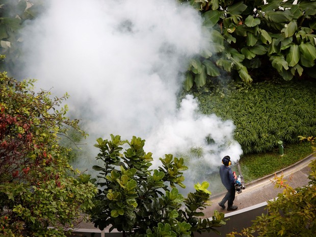 Foto de arquivo mostra um homem dedetizando o jardim de um condomínio em Cingapura em setembro de 2013 (Foto: Tim Wimborne/Reuters/Arquivo)