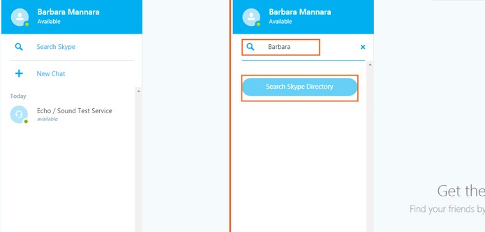 Informações de contatos no Skype web (Foto: Reprodução/Barbara Mannara)