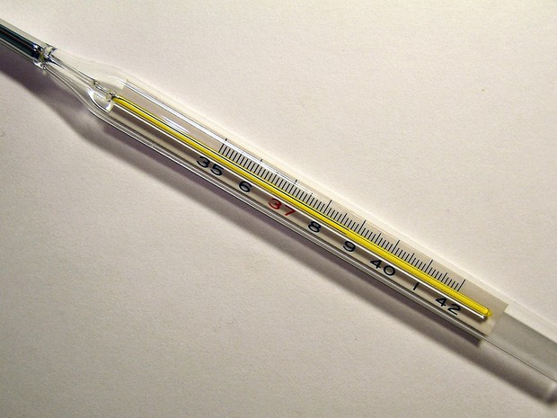  Termômetro de mercúrio pode ser proibido no Brasil (Foto: Menchi/Wikimedia Commons)