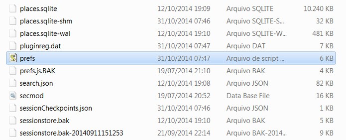 Encontre o arquivo prefs.js e faça uma cópia em local seguro (Foto: Reprodução)