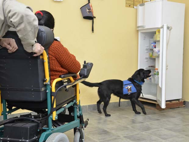 Ces adestrados foram doados a pessoas com deficincias fsicas (Foto: Servio Penitencirio Argentino/ BBC)