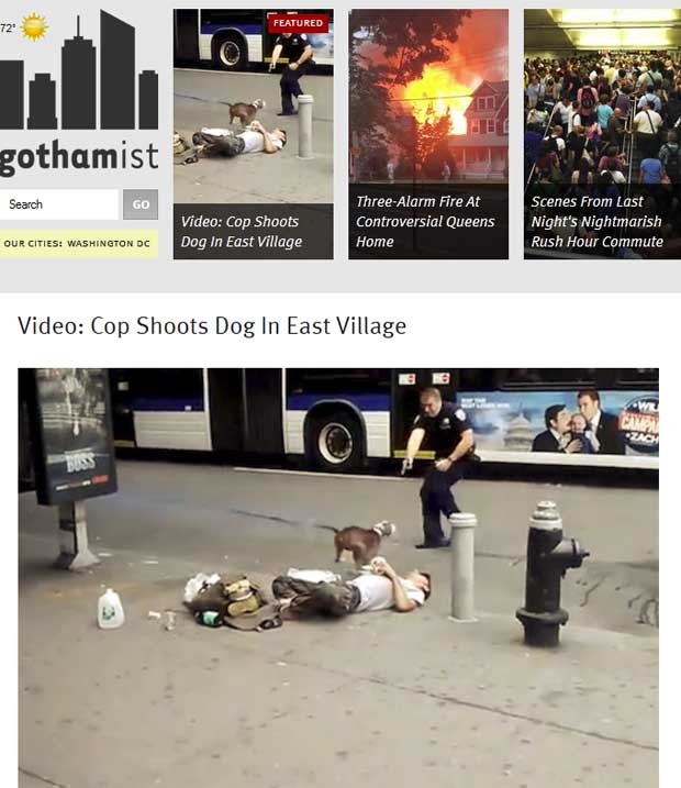 Cena de vídeo pouco antes de cão levar tiro do policial nos EUA (Foto: Reprodução)