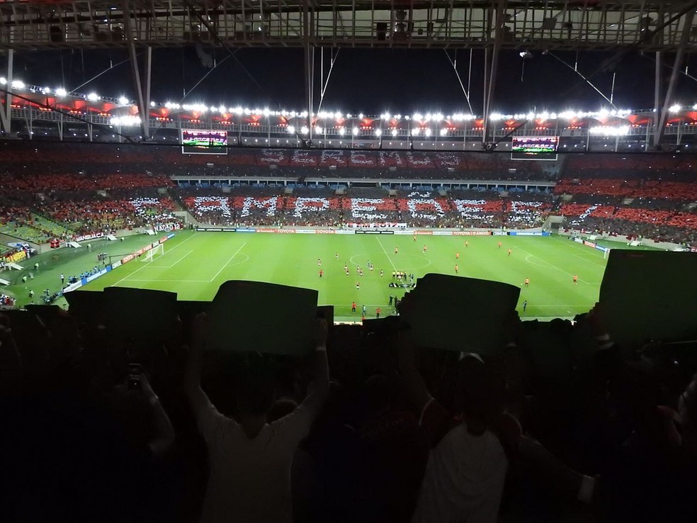 ... e formaram a frase 