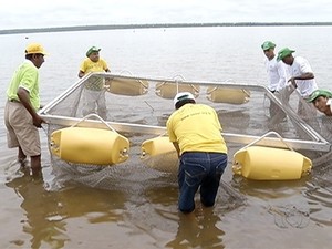 Primeiro tanque rede é instalado em Palmas (Foto: Reprodução/TV Anhanguera)