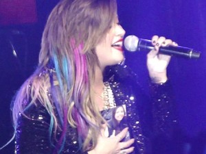 Demi Lovato segura foto de Milena Lima em show no Citibank Hall, em São Paulo, na noite de 22 de abril (Foto: Arquivo Pessoal/Carolina Moraes)