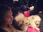 Paris Hilton viaja de carro com seus cachorros: 'Meus bebês'