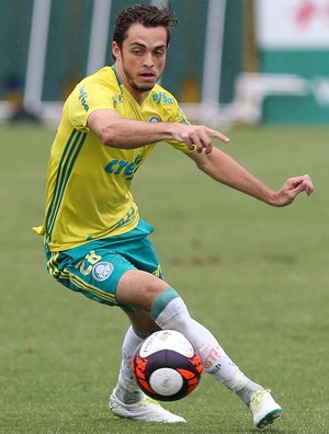 Hyoran Palmeiras (Foto: Cesar Greco/Ag. Palmeiras)