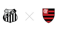 Santos x Flamengo (Foto: montagem/GE)