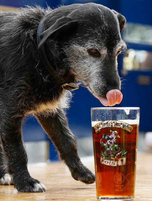 Festival britânico de cerveja reúne mais de 900 cervejarias durante cinco dias (Foto: Kirsty Wigglesworth/AP) Festival britânico de cerveja reúne mais de 900 cervejarias durante cinco dias (Foto: Kirsty Wigglesworth/AP)