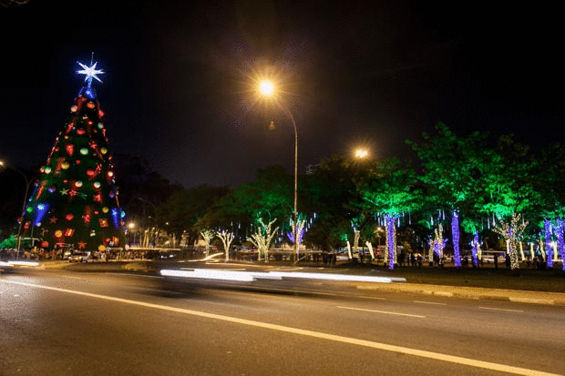 17-12-2014 - Carros passam pela árvore de natal do parque Ibirapuera em São Paulo (Foto: Marcelo Brandt/G1)