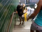 Faltam elevadores e escadas rolantes nos Terminais Integrados do Recife
