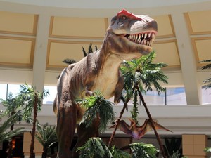 Exposição "O Mundo dos Dinossauros" está aberta para visitação no Shopping Bela Vista (Foto: Divulgação)