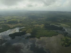 Apenas 3,7% das terras do Amapá estão registradas em nome do estado (Foto: Abinoan Santiago/G1)