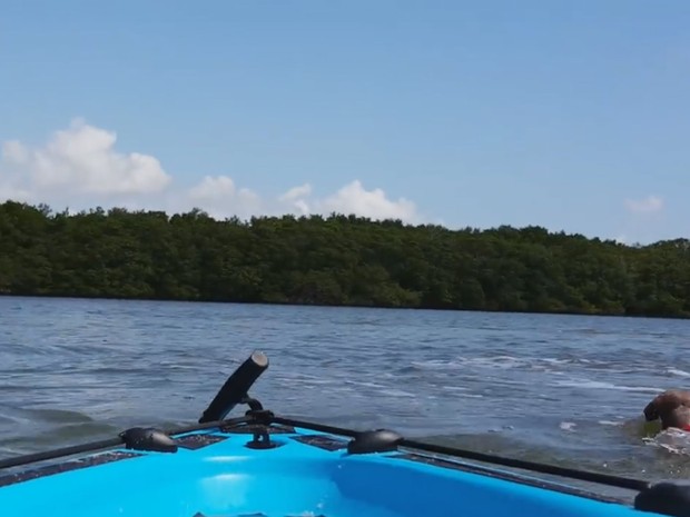 G1 Cadela'sem noç u00e3o' salta de caiaque ao ver golfinho nos EUA notícias em Planeta Bizarro Aparador Line Branco Laqueado ~ G1 Cadela'sem noç u00e3o' salta de caiaque ao ver golfinho nos EUA notícias em Planeta Bizarro