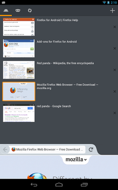 screenshot de Mozilla Firefox