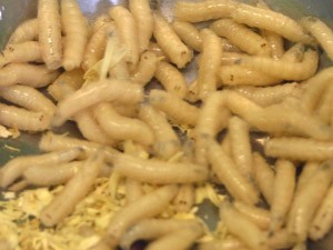 Entomologista forense diz que é preciso pensar como uma larva (Foto: BBC)