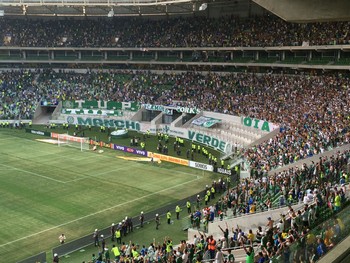 Palmeiras ultrapassa a marca dos 90 mil sócios-torcedores