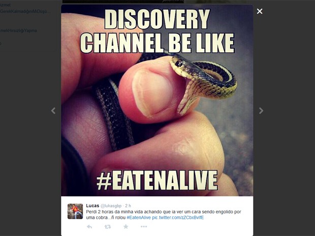 Espectadores do programa 'Eaten alive' fazem piada no Twitter e mostram 'pequenas mordidas', ironizando apresentador que desistiu de ser 'engolido' (Foto: Reprodução / Discovery Channel) Espectadores do programa 'Eaten alive' fazem piada no Twitter e mostram 'pequenas mordidas', ironizando apresentador que desistiu de ser 'engolido' (Foto: Reprodução / Discovery Channel)