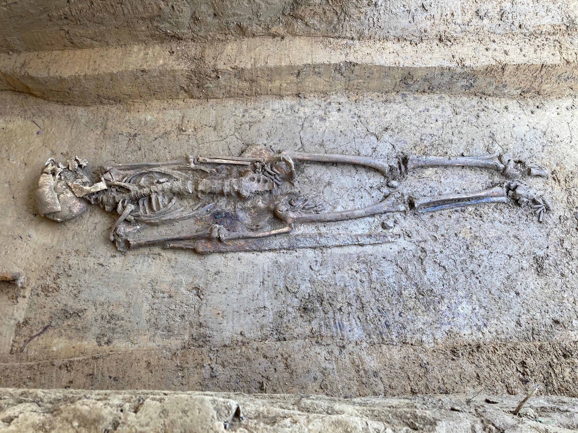 Esqueleto encontrado no antigo cemitério da cidade alemã de Knittlingen (Foto: Baden-Wuerttemberg State Office for Monument Preservation)