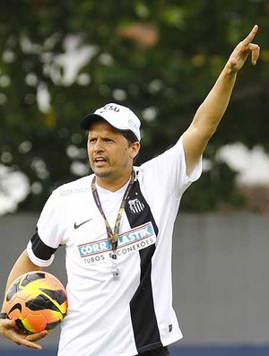 Claudinei Oliveira, treinador do Santos (Foto: Ricardo Saibun/Divulgação Santos FC)