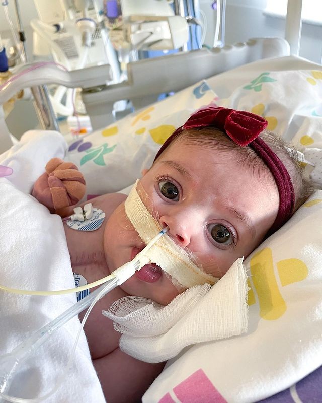Maria Guilhermina, a filha de Juliano e Letícia Cazarré (Foto: Reprodução Instagram) Maria Guilhermina, a filha de Juliano e Letícia Cazarré (Foto: Reprodução Instagram)