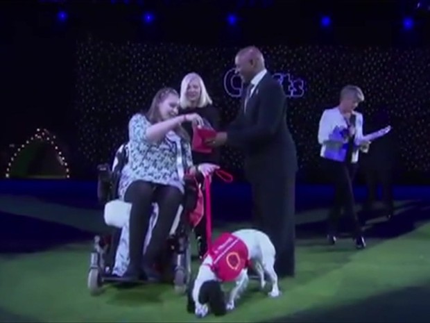 Cadela Lucy recebe prêmio (Foto: BBC)