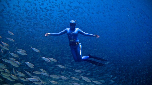 Recordista mundial de apneia indica local para mergulho recreativo  (Karol Meyer/Arquivo pessoal)