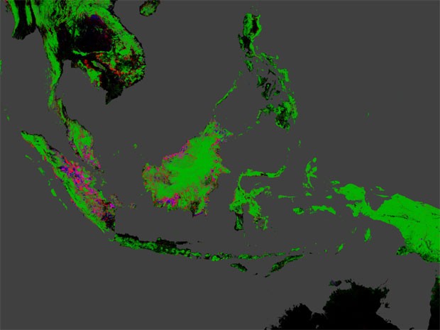 O maior desmatamento foi registrado na Indonésia. Verde representa a extensão florestal; vermelho, a perda de mata entre 200 e 2012; azul, o ganho no mesmo perído; rosa, a porção de floresta que foi desmatada e recuperada (Foto: Hansen, Potapov, Moore, Hancher et al., 2013)