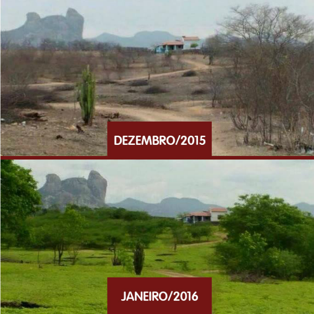 Imagem mostra impacto das chuvas no interior do Ceará (Foto: Gooldemberg Saraiva/Monólitos Post)