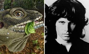 Lagarto Pre Historico Ganha Nome Em Homenagem A Jim Morrison Ciencia E Saude G1 Em termos universais sonhar com gigante. g1 globo
