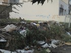 Lixo em terreno de Mogi acumula ratos e atrapalha pedestres, diz leitor