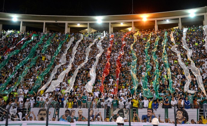 torcida, Palmeiras x Bragantino (Foto: Mauro Horita)