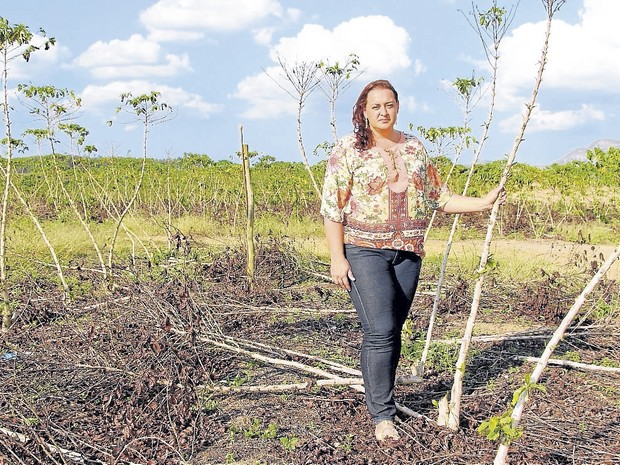 Seca afeta produção de café conilon no Espírito Santo (Foto: Raquel Lopes/ A Gazeta)