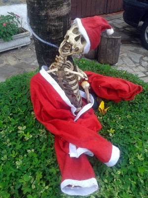 Morador usou esqueleto com roupas de Papai Noel para enfeitar fachada da casa em Itu (Foto: Arquivo pessoal)