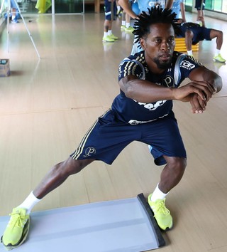 Palmeiras Zé Roberto (Foto: Cesar Greco/Ag Palmeiras/Divulgação) Palmeiras Zé Roberto (Foto: Cesar Greco/Ag Palmeiras/Divulgação)