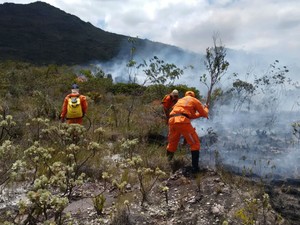 Fogo já destruiu área de 230 hectares na Chapada Diamantina (Foto: Dviulgação/Corpo de Bombeiros Militares)