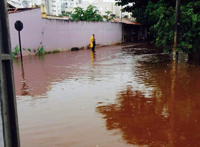 G1 - Chuva Derruba árvores, Destelha Casa E Alaga Ruas Em Uberlândia ...