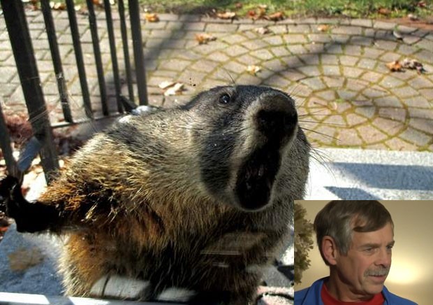 Americano se refugia em casa após ser atacado por marmota furiosa (Foto: Reprodução/Twitter/Steve Minich-Reprodução/YouTube/WCVB)