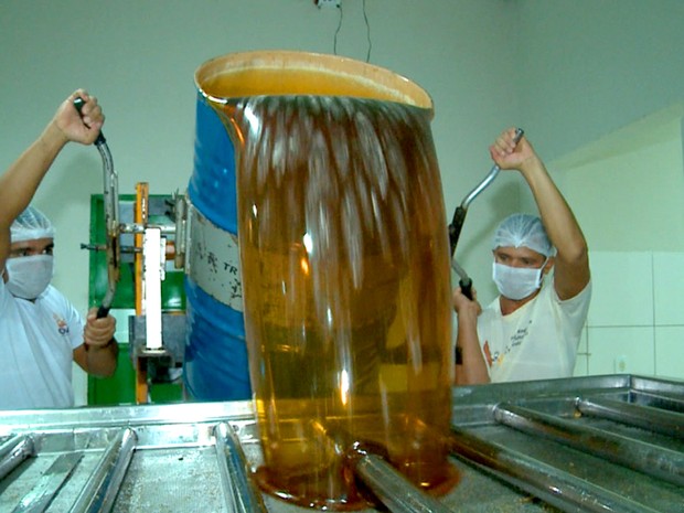 Produção de mel em Simplício Mendes e Picos (Foto: Reprodução/TV Clube)