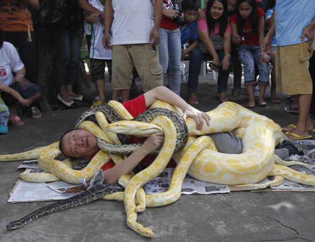 Homem se enrolou com várias cobras pítons para comemorar o Ano da Serpente (Foto: Romeo Ranoco/Reuters)
