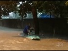 Imagens mostram resgate de gato da chuva em prancha de stand up no RJ