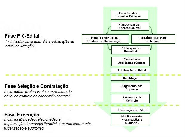 Concesso de florestas tem trs fases a serem seguidas  (Foto: Divulgao/IEF Amap)