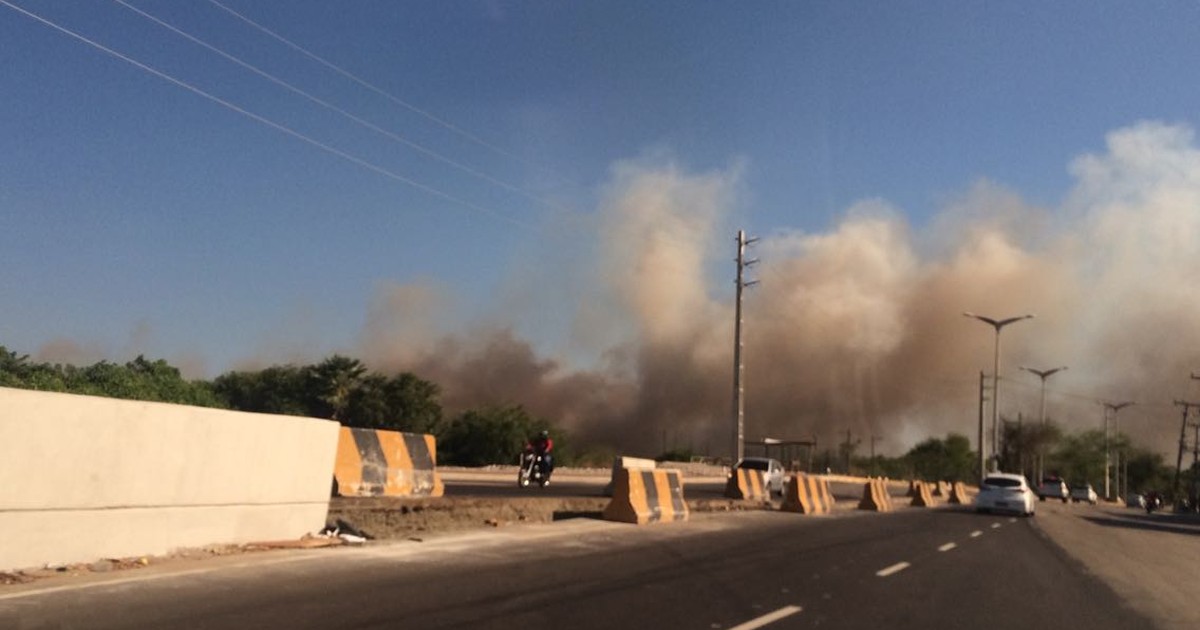 G1 Incêndio de grandes proporções atinge Parque do Cocó, em Fortaleza notícias em Ceará G1 Incêndio de grandes proporções atinge Parque do Cocó, em Fortaleza notícias em Ceará