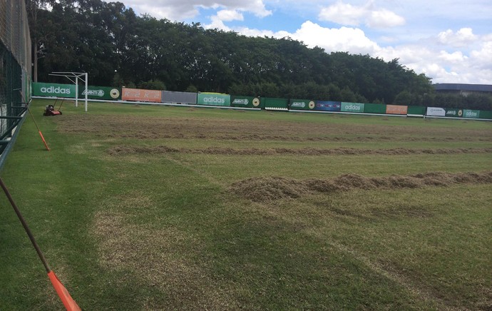 Verdão inicia reforma em um dos campos da Academia de Futebol