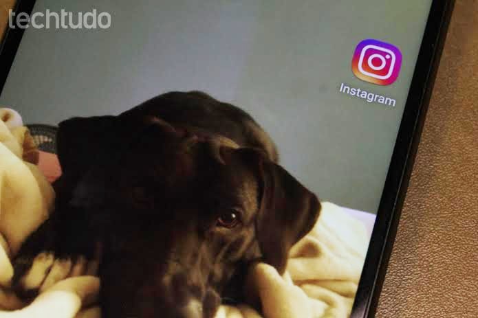 Falha já foi corrigida pelo Instagram (Foto: Melissa Cossetti/TechTudo) (Foto: Falha já foi corrigida pelo Instagram (Foto: Melissa Cossetti/TechTudo)) Falha já foi corrigida pelo Instagram (Foto: Melissa Cossetti/TechTudo) (Foto: Falha já foi corrigida pelo Instagram (Foto: Melissa Cossetti/TechTudo))