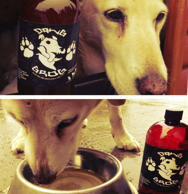 Daniel Keeton criou cerveja para cães (Foto: Divulgação)