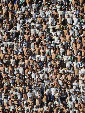 Sócio-torcedor representa 71% do público do Palmeiras; veja números
